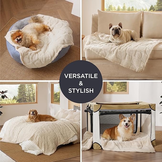 Bedsure Dog Blankets for Large Dogs Washable - Fluffy Fuzzy Cat Puppy Blanket with Premium 300GSM Coral Fleece Soft for Pet Kitten Doggy, White, 40x50IN