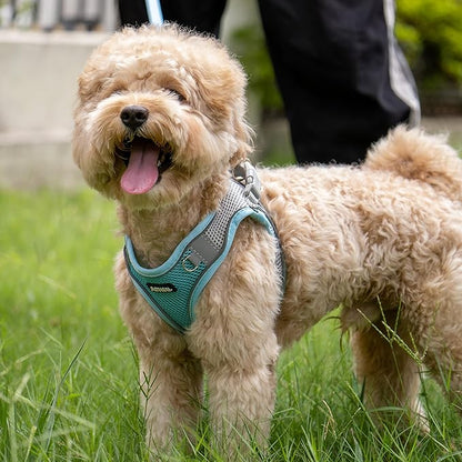 AIITLE Comfortable Dog Harness and Leash Set for Walking - Step in Vest Harness,Reflective Bands, Adjustable No Pull Puppy Essentials, for Small Dogs and House Cats Blue XS