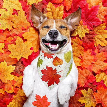 Abbylike 50 Pcs Fall Thanksgiving Dog Maple Leaves Bandanas Bulk Bandanas for Dogs Triangle Kerchief Bib Scarf for Pets Autumn Costume Photo Props Accessories Pet Shops, 25 Styles (25.6 x 17.7 x 17.7)