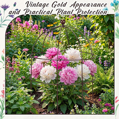 BreezeHug 3 Pack 24 H Peony Cage Climbing Plant Trellis Bird Cage Plant Support Through Flower Support for Perennial Flowers, Vintage Gold