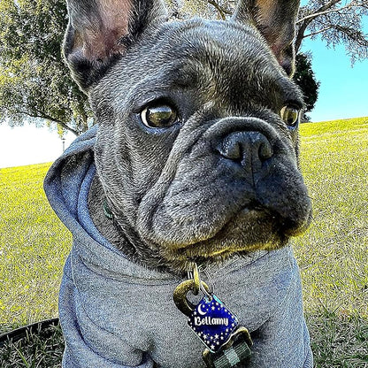Personalized Dog Tag with 5 Lines of Custom Deep Engraved Durable Stainless Steel Pet ID Name Tag Designer Small Size Diamond
