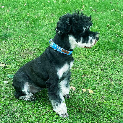 Unique Style Paws Metal Buckle Blue Plaid Collar - Durable & Cute for Small to Large Dogs