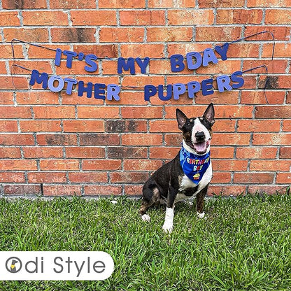 Dog Birthday Party Decorations - Bday Bandana Set - Birthday Boy Bandana for Small Dogs, Puppy, Party Hat, Crown and Cute Dog Birthday Banner with It's My Birthday Mother Puppers Sign
